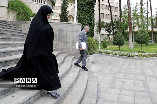 حاشیه جلسه هیأت دولت