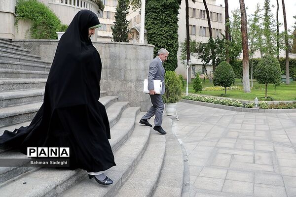 حاشیه جلسه هیأت دولت