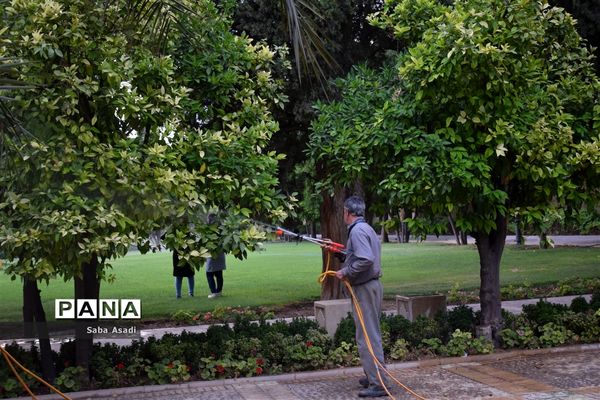 باغ جهان نما، بهشت کوچک زمینی شهر شیراز