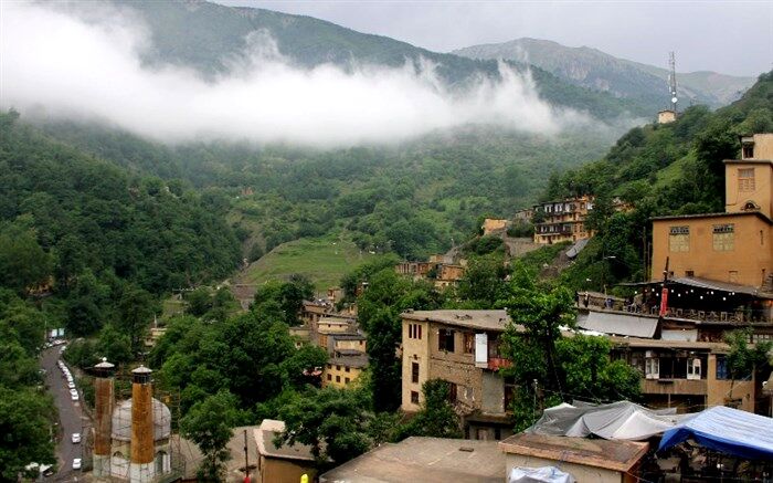 جنگل‌های هیرکانی شمال ایران ثبت جهانی شد