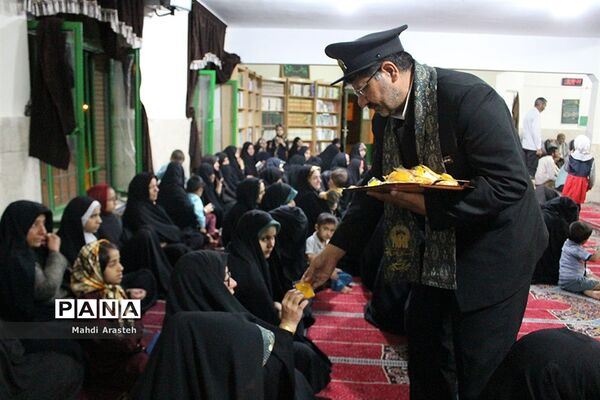 حضور خادمان رضوی در شهرستان زیرکوه خراسان جنوبی