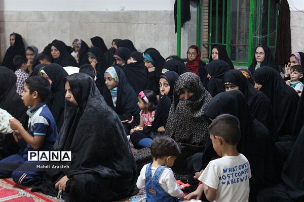 حضور خادمان رضوی در شهرستان زیرکوه خراسان جنوبی