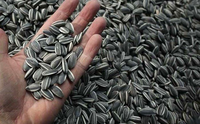 40 درصد تخمه کشور در آذربایجان غربی تولید می‌شود