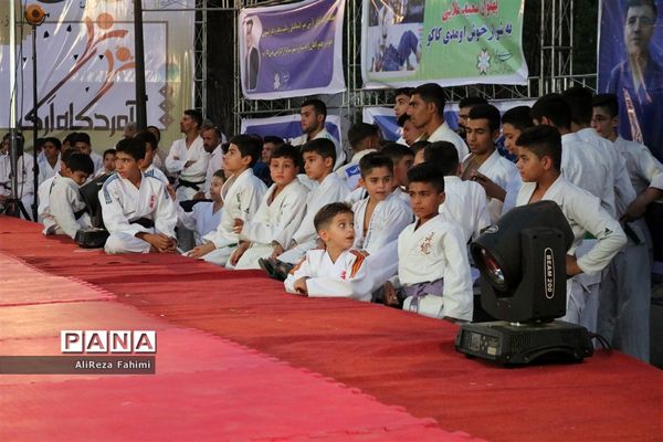 جشنواره همگانی جودو و گردهمایی جودوکاران فارس در شیراز