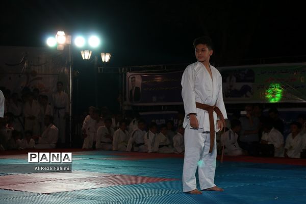 جشنواره همگانی جودو و گردهمایی جودوکاران فارس در شیراز