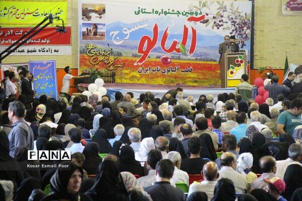 دومین جشنواره آلبالو در تسوج
