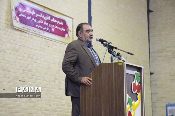 دومین جشنواره آلبالو در تسوج