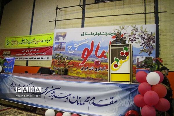 دومین جشنواره آلبالو در تسوج