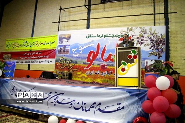 دومین جشنواره آلبالو در تسوج