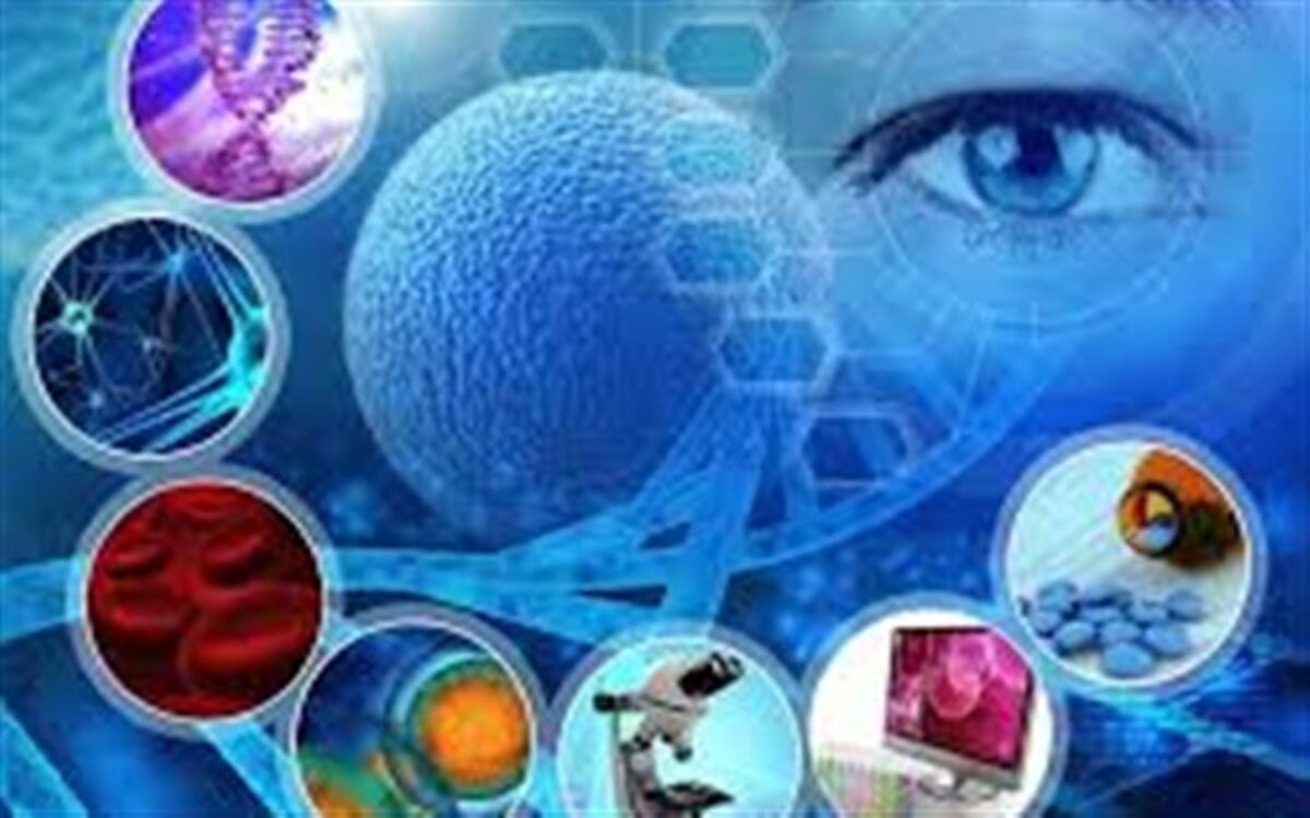 دانش آموز برتر ایلامی از صعود به مرحله  دوم المپیاد علمی سلول های بنیادی گذر کرد