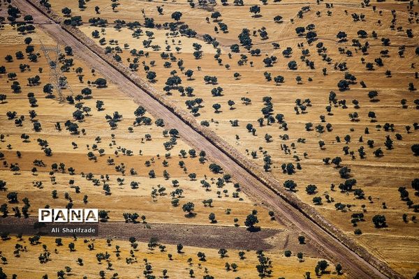 توزیع کالای اساسی بین سیل زدگان استان لرستان