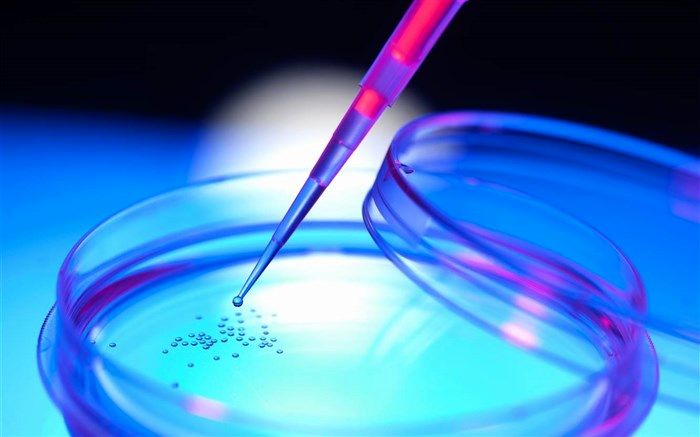 ذخیره اطلاعات بیش از ۵ هزار داوطلب در بانک پیوند مغز استخوان شیراز