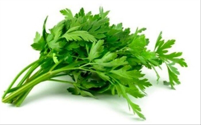 با 7 راهکار گیاهی، از نیش حشرات مصون بمانید
