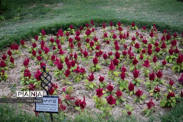باغ ارم زیبایی چهار فصل شیراز