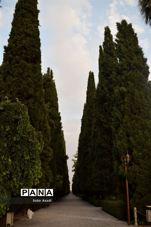 باغ ارم زیبایی چهار فصل شیراز