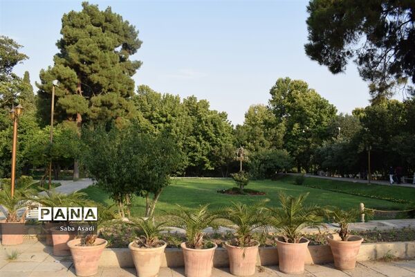 باغ ارم زیبایی چهار فصل شیراز