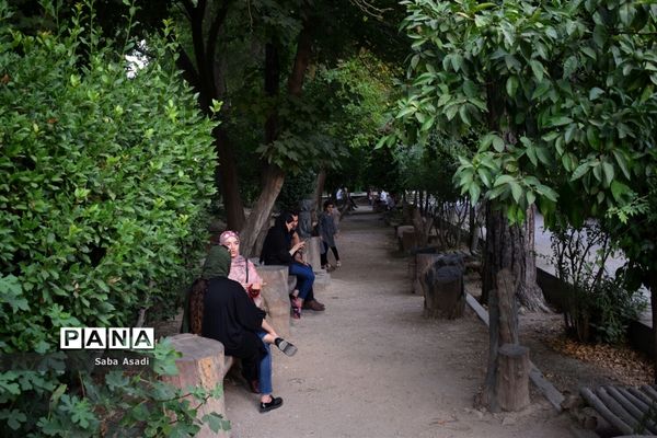 باغ ارم زیبایی چهار فصل شیراز