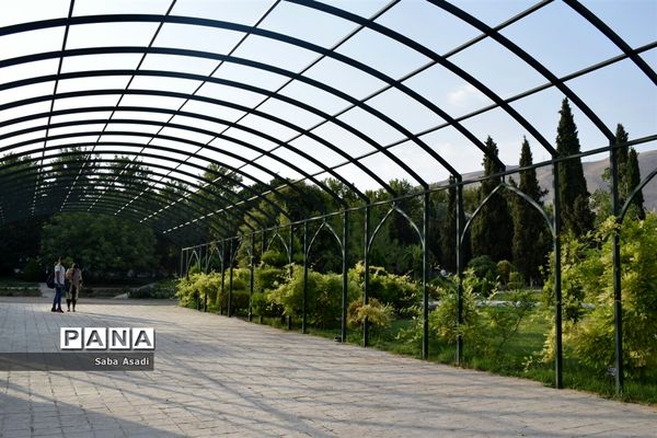 باغ ارم زیبایی چهار فصل شیراز