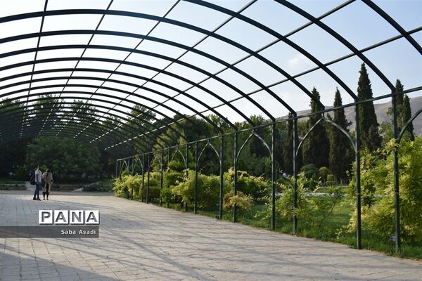 باغ ارم زیبایی چهار فصل شیراز
