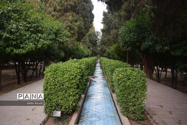 باغ ارم زیبایی چهار فصل شیراز