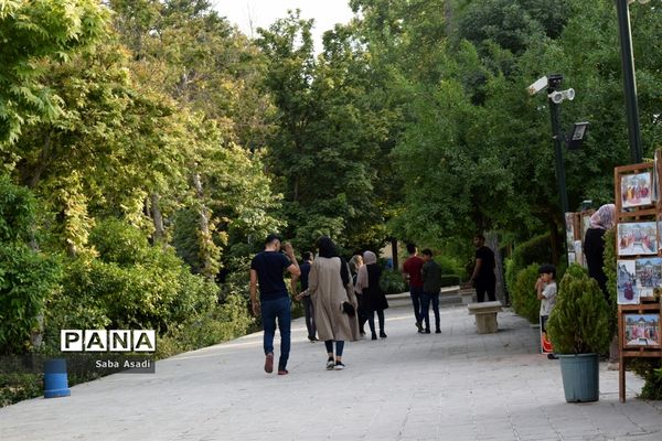 باغ ارم زیبایی چهار فصل شیراز