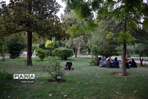 باغ ارم زیبایی چهار فصل شیراز