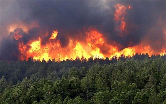 آتش سوزی در   35 هکتار از بقایای مزارع گندم  در کازرون