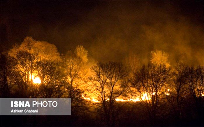 افزایش ۹۰ برابری خسارت‌ آتش‌سوزی در محیط‌زیست استان تهران