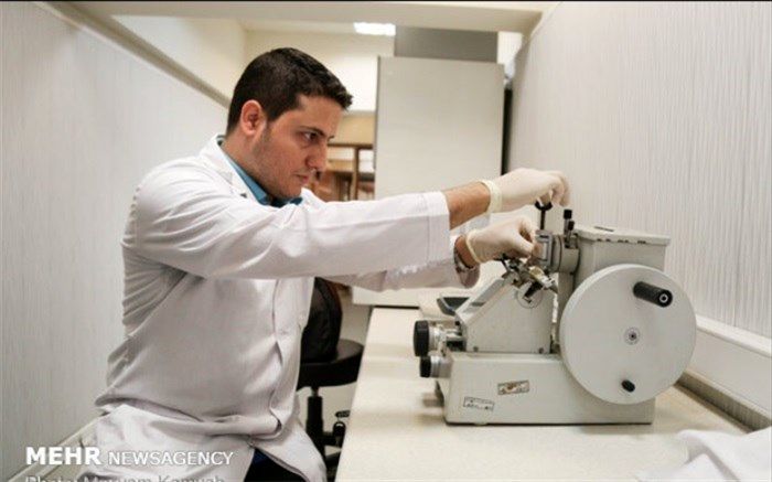 بانک مغز، هوش از سرتان می‌پراند