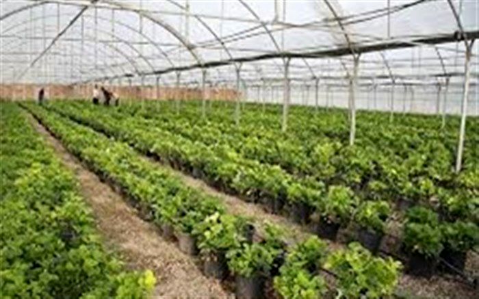 بهره برداری از 125 طرح و پروژه بخش کشاورزی با اعتباری بیش از 9330 میلیارد ریال در آذربایجان شرقی