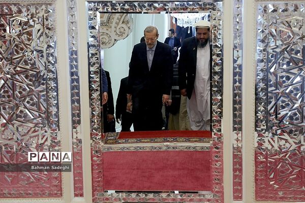 دیدار و کنفرانس خبری رؤسای مجالس ایران و افغانستان