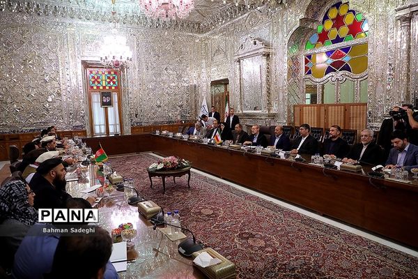 دیدار و کنفرانس خبری رؤسای مجالس ایران و افغانستان