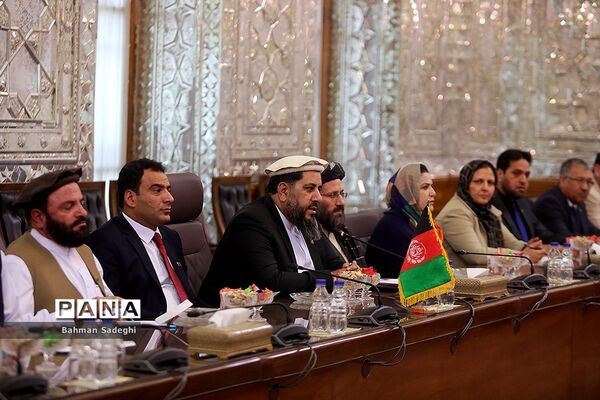 دیدار و کنفرانس خبری رؤسای مجالس ایران و افغانستان