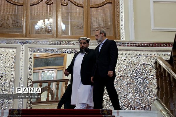 دیدار و کنفرانس خبری رؤسای مجالس ایران و افغانستان