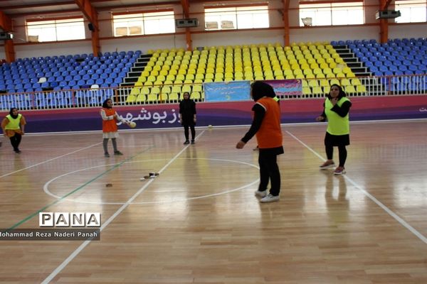 کلاس تخصصی داوری بانوان بازی‌های بومی محلی استان بوشهر