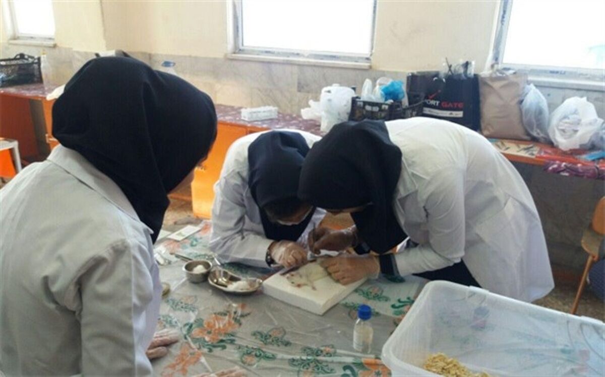 شیوه‌نامه برگزاری اولین جشنواره علمی پژوهشی پژوهش‌سراهای دانش‌آموزی ابلاغ شد