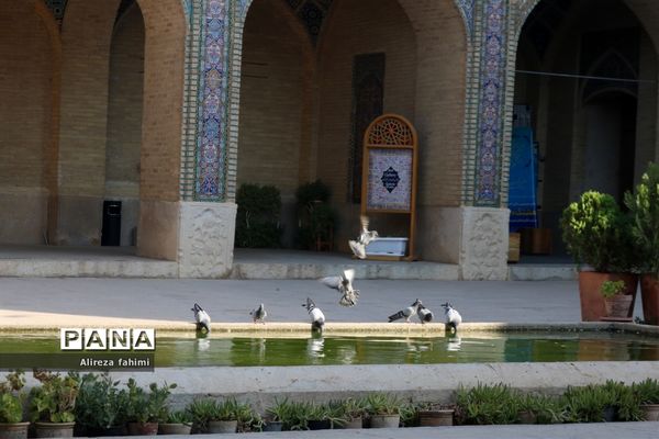 نصیرالملک؛ مسجدی از نور و رنگ