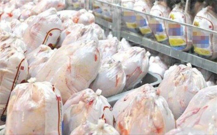 اختلاف قیمت مرغ در بین استان‌ها  و  احتمال خروج مرغ از استان