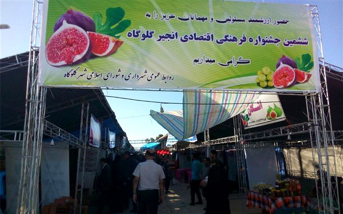 ششمین جشنواره انجیر در گلوگاه آغاز شد