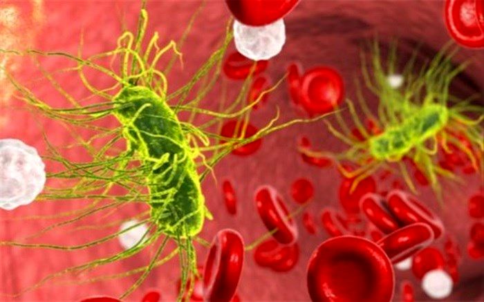 کُشنده‌ترین بیماری‌ها را بشناسید