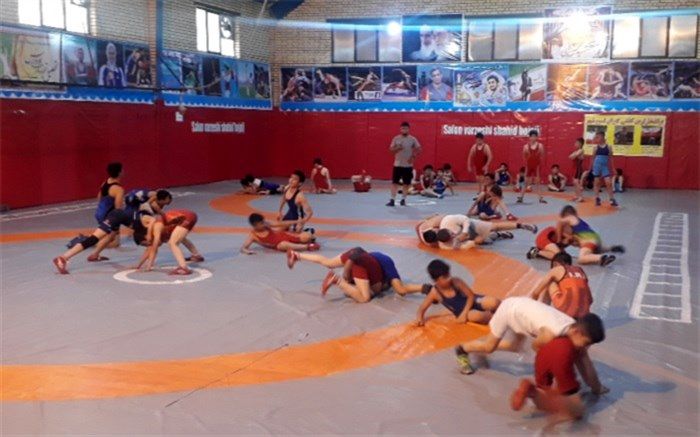 پتانسیل خوب رشته کشتی درشهرستان بهارستان