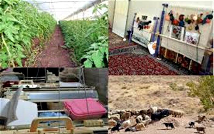 17 طرح اشتغال زایی روستایی در آذربایجان غربی راه اندازی می شود