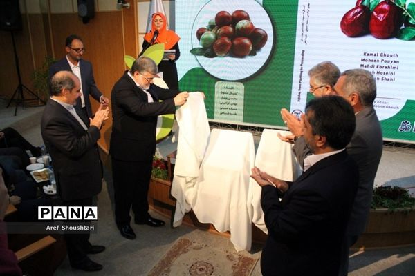 اولین همایش ملی عناب در بیرجند