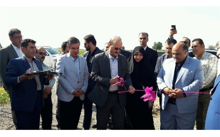 یک طرح پرورش گاو شیری در شهرستان قزوین افتتاح شد