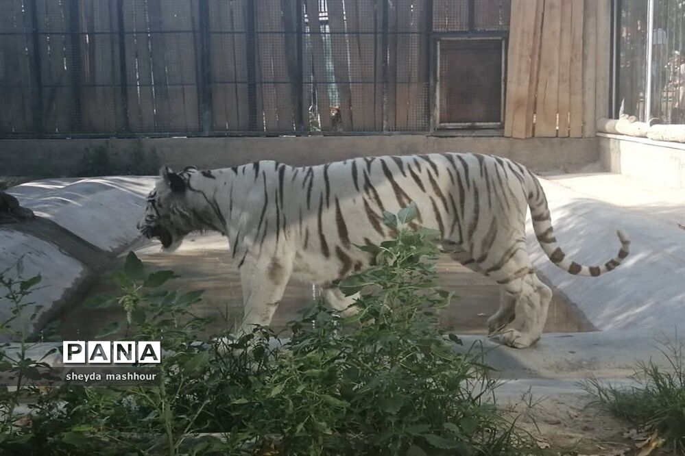 باغ وحش ارم تهران