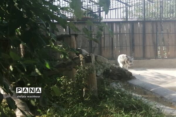 باغ وحش ارم تهران