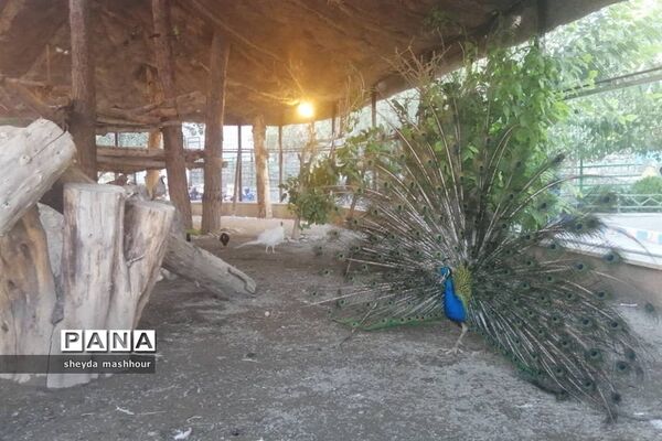 باغ وحش ارم تهران
