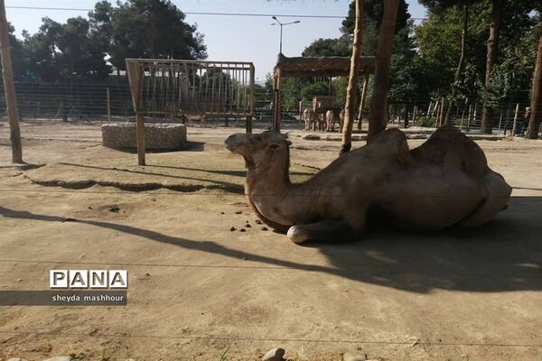 باغ وحش ارم تهران