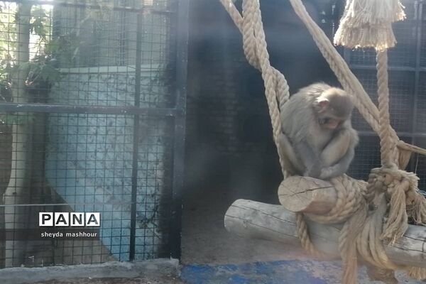 باغ وحش ارم تهران