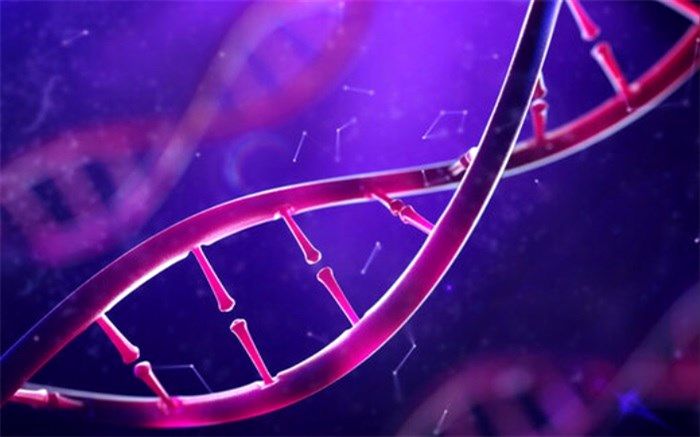 آیا طلاق گرفتن در DNA وجود دارد؟+ فیلم